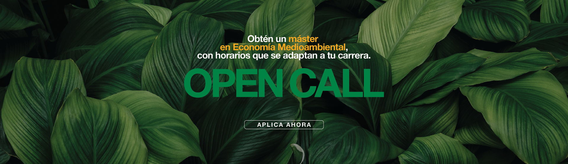 banner-ufm-madrid-master-economia-medioambiental-2024agostoUFM-_d8agl0 (1) banner-ufm-madrid-master-economia-medioambiental-2024agostoUFM-_d8agl0 (1)