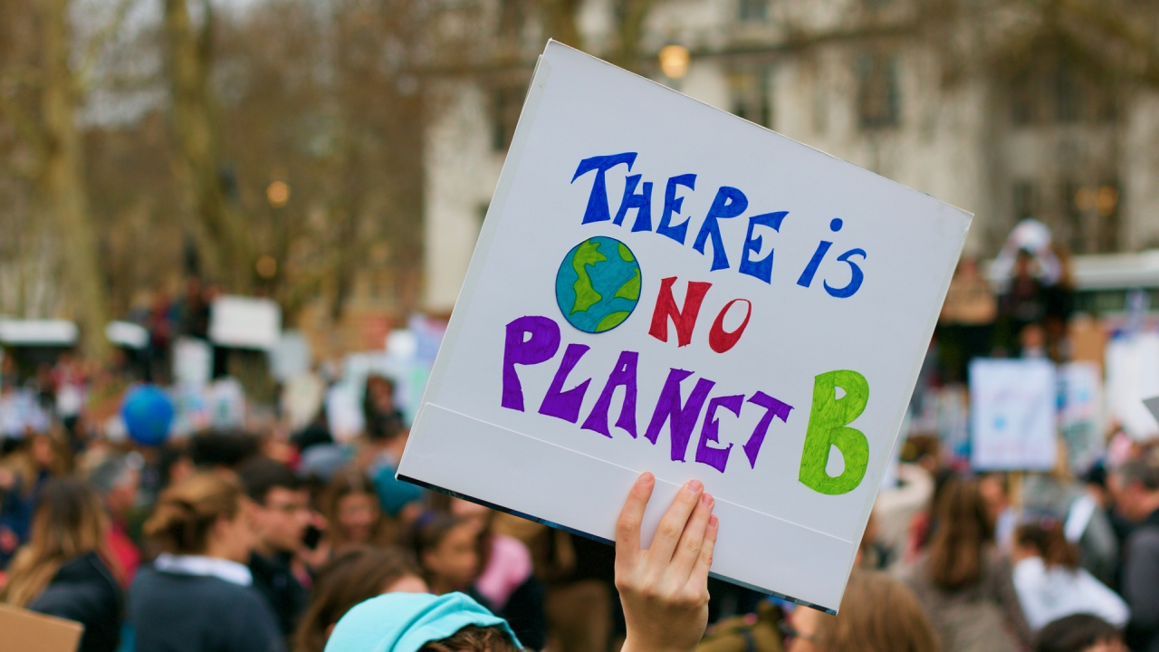 La incompetencia económica del ecologismo